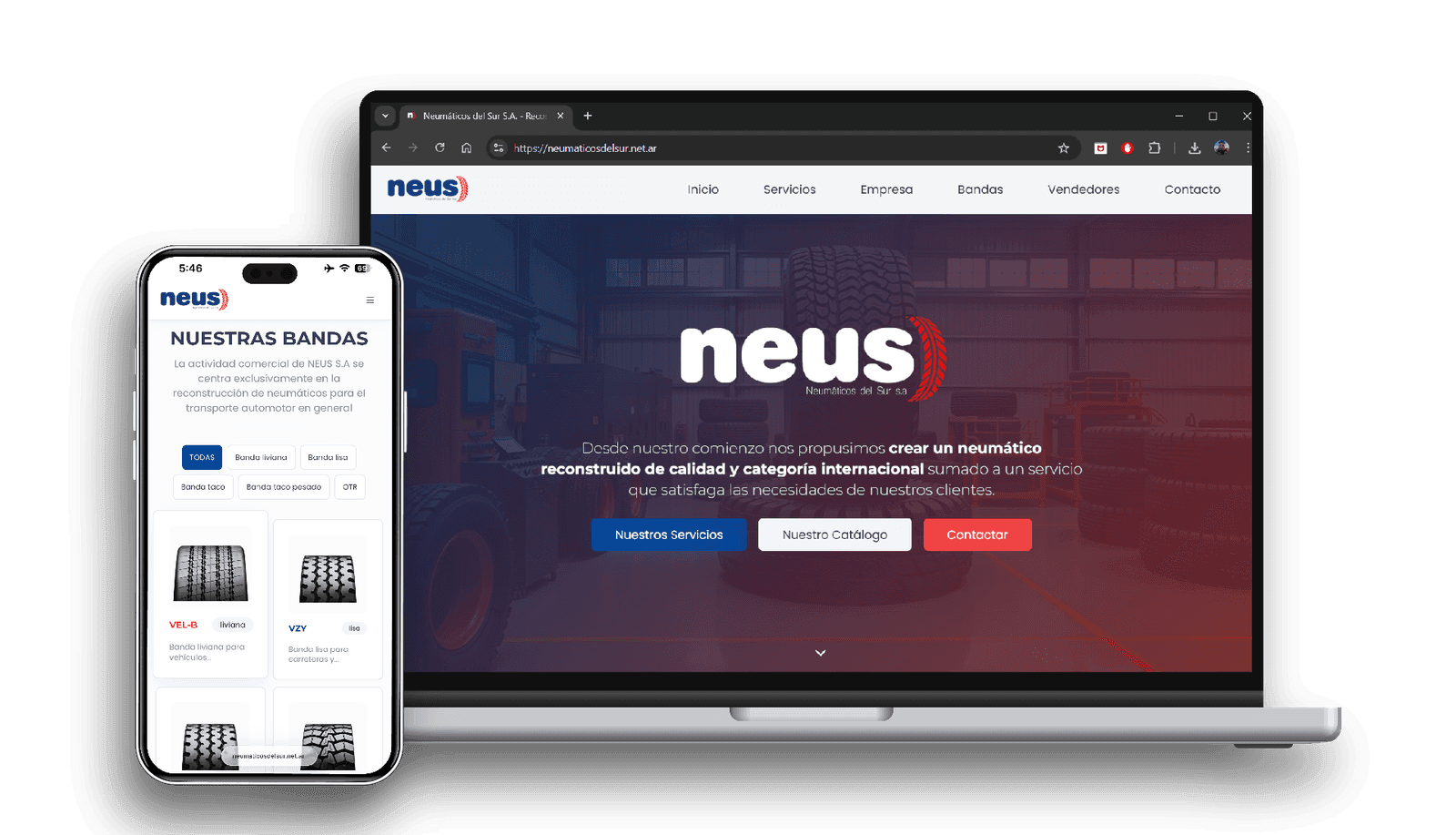 Diseño web profesional Neuquén Argentina